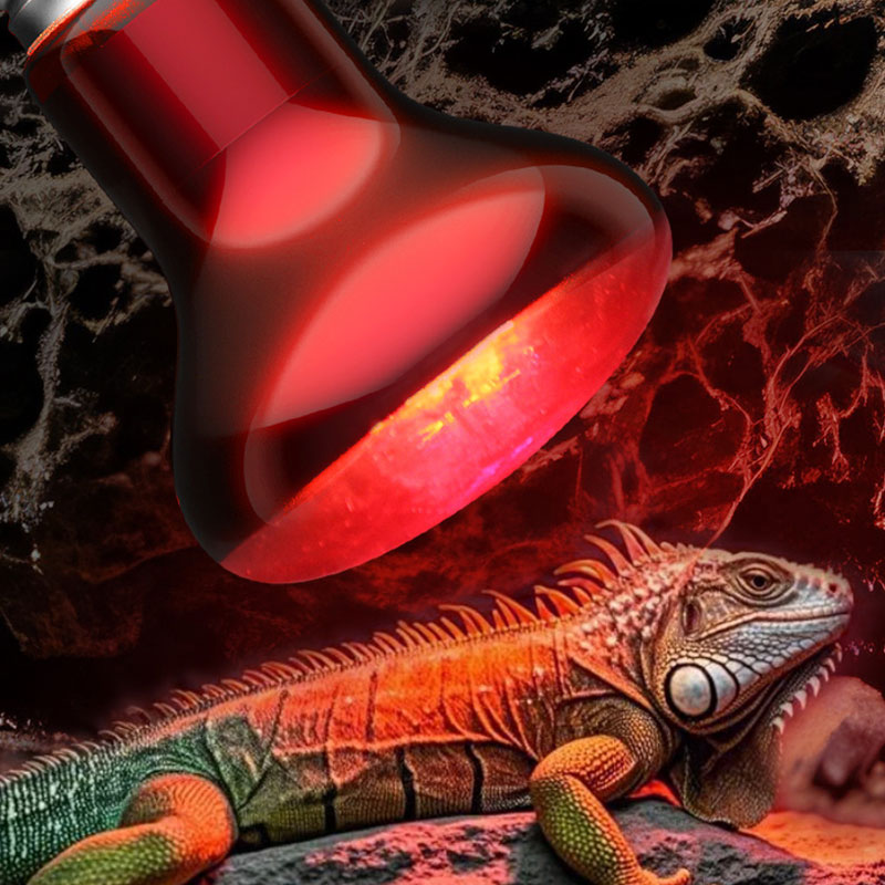 Reptile Heat Lamp 100V/220V In - Gecko Lighting & Decor recension och pris