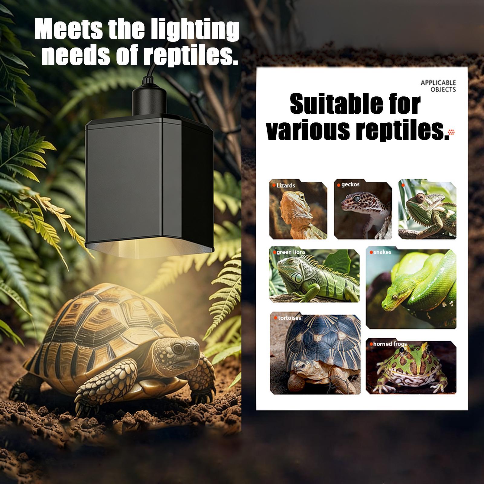 Reptile Heat Lamp Cover Reptil - Gecko Lighting & Decor recension och pris
