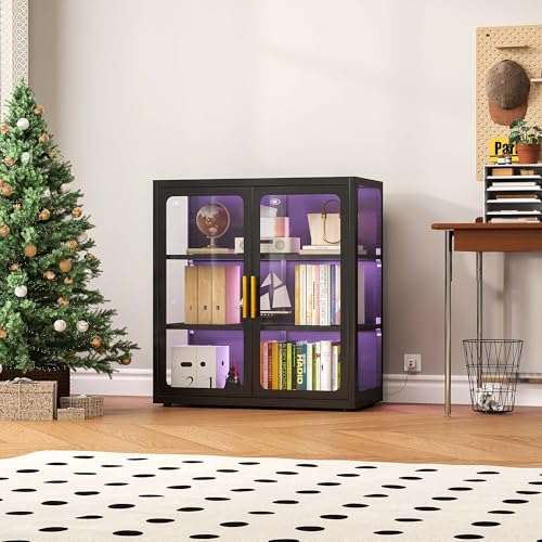 Display Cabinet with Glass Doo - Lighting & Home Decor Studio Photos recension och pris