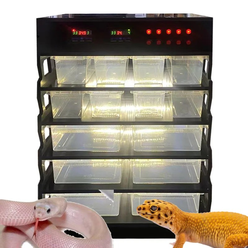 Intelligent PVC Reptile Furnit - Gecko Lighting & Decor recension och pris